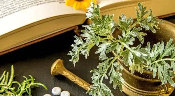 Homeopatia studia - klucz do sukcesu w medycynie alternatywnej